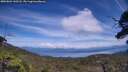 ./images/calvert/fitz-hugh-hecate/20250804/fitz-hugh-hecate20250804_143508M.jpg