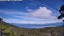 ./images/calvert/fitz-hugh-hecate/20250804/fitz-hugh-hecate20250804_144510M.jpg