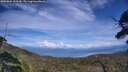 ./images/calvert/fitz-hugh-hecate/20250804/fitz-hugh-hecate20250804_153510M.jpg