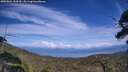 ./images/calvert/fitz-hugh-hecate/20250804/fitz-hugh-hecate20250804_154510M.jpg