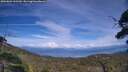 ./images/calvert/fitz-hugh-hecate/20250804/fitz-hugh-hecate20250804_162510M.jpg