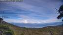 ./images/calvert/fitz-hugh-hecate/20250804/fitz-hugh-hecate20250804_163510M.jpg