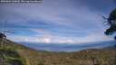 ./images/calvert/fitz-hugh-hecate/20250804/fitz-hugh-hecate20250804_164010M.jpg