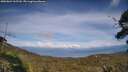 ./images/calvert/fitz-hugh-hecate/20250804/fitz-hugh-hecate20250804_165510M.jpg