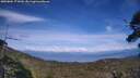 ./images/calvert/fitz-hugh-hecate/20250804/fitz-hugh-hecate20250804_171010M.jpg