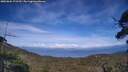 ./images/calvert/fitz-hugh-hecate/20250804/fitz-hugh-hecate20250804_172509M.jpg