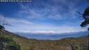 ./images/calvert/fitz-hugh-hecate/20250804/fitz-hugh-hecate20250804_173008M.jpg