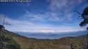 ./images/calvert/fitz-hugh-hecate/20250804/fitz-hugh-hecate20250804_173509M.jpg