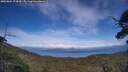 ./images/calvert/fitz-hugh-hecate/20250804/fitz-hugh-hecate20250804_174510M.jpg