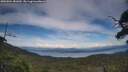 ./images/calvert/fitz-hugh-hecate/20250804/fitz-hugh-hecate20250804_181010M.jpg