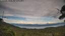 ./images/calvert/fitz-hugh-hecate/20250804/fitz-hugh-hecate20250804_182508M.jpg