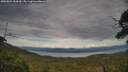 ./images/calvert/fitz-hugh-hecate/20250804/fitz-hugh-hecate20250804_184510M.jpg