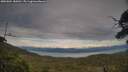 ./images/calvert/fitz-hugh-hecate/20250804/fitz-hugh-hecate20250804_185010M.jpg