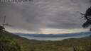 ./images/calvert/fitz-hugh-hecate/20250804/fitz-hugh-hecate20250804_185508M.jpg
