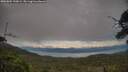 ./images/calvert/fitz-hugh-hecate/20250804/fitz-hugh-hecate20250804_190009M.jpg