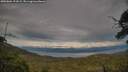 ./images/calvert/fitz-hugh-hecate/20250804/fitz-hugh-hecate20250804_191009M.jpg