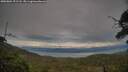./images/calvert/fitz-hugh-hecate/20250804/fitz-hugh-hecate20250804_191508M.jpg