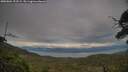 ./images/calvert/fitz-hugh-hecate/20250804/fitz-hugh-hecate20250804_192509M.jpg