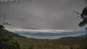 ./images/calvert/fitz-hugh-hecate/20250804/fitz-hugh-hecate20250804_193009M.jpg