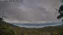 ./images/calvert/fitz-hugh-hecate/20250804/fitz-hugh-hecate20250804_194507M.jpg
