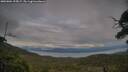 ./images/calvert/fitz-hugh-hecate/20250804/fitz-hugh-hecate20250804_195006M.jpg