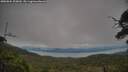 ./images/calvert/fitz-hugh-hecate/20250804/fitz-hugh-hecate20250804_200009M.jpg