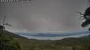 ./images/calvert/fitz-hugh-hecate/20250804/fitz-hugh-hecate20250804_200508M.jpg