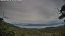 ./images/calvert/fitz-hugh-hecate/20250804/fitz-hugh-hecate20250804_202508M.jpg
