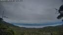 ./images/calvert/fitz-hugh-hecate/20250804/fitz-hugh-hecate20250804_212007M.jpg