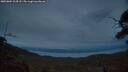 ./images/calvert/fitz-hugh-hecate/20250804/fitz-hugh-hecate20250804_214508M.jpg