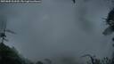./images/calvert/fitz-hugh-hecate/20250805/fitz-hugh-hecate20250805_061009M.jpg