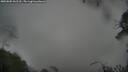 ./images/calvert/fitz-hugh-hecate/20250805/fitz-hugh-hecate20250805_062510M.jpg