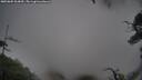 ./images/calvert/fitz-hugh-hecate/20250805/fitz-hugh-hecate20250805_064010M.jpg