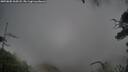 ./images/calvert/fitz-hugh-hecate/20250805/fitz-hugh-hecate20250805_065008M.jpg