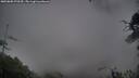 ./images/calvert/fitz-hugh-hecate/20250805/fitz-hugh-hecate20250805_070509M.jpg