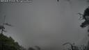 ./images/calvert/fitz-hugh-hecate/20250805/fitz-hugh-hecate20250805_071509M.jpg