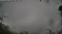 ./images/calvert/fitz-hugh-hecate/20250805/fitz-hugh-hecate20250805_073009M.jpg