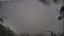 ./images/calvert/fitz-hugh-hecate/20250805/fitz-hugh-hecate20250805_073510M.jpg