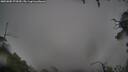 ./images/calvert/fitz-hugh-hecate/20250805/fitz-hugh-hecate20250805_074509M.jpg