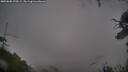 ./images/calvert/fitz-hugh-hecate/20250805/fitz-hugh-hecate20250805_075009M.jpg