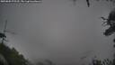 ./images/calvert/fitz-hugh-hecate/20250805/fitz-hugh-hecate20250805_075510M.jpg
