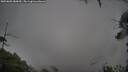./images/calvert/fitz-hugh-hecate/20250805/fitz-hugh-hecate20250805_080010M.jpg