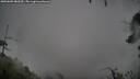 ./images/calvert/fitz-hugh-hecate/20250805/fitz-hugh-hecate20250805_080510M.jpg