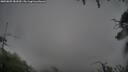 ./images/calvert/fitz-hugh-hecate/20250805/fitz-hugh-hecate20250805_081010M.jpg