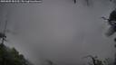 ./images/calvert/fitz-hugh-hecate/20250805/fitz-hugh-hecate20250805_081510M.jpg