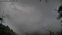 ./images/calvert/fitz-hugh-hecate/20250805/fitz-hugh-hecate20250805_082010M.jpg
