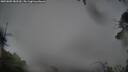 ./images/calvert/fitz-hugh-hecate/20250805/fitz-hugh-hecate20250805_082510M.jpg