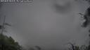 ./images/calvert/fitz-hugh-hecate/20250805/fitz-hugh-hecate20250805_083510M.jpg