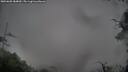 ./images/calvert/fitz-hugh-hecate/20250805/fitz-hugh-hecate20250805_084010M.jpg