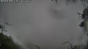 ./images/calvert/fitz-hugh-hecate/20250805/fitz-hugh-hecate20250805_085009M.jpg